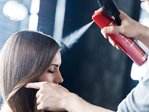 PROFESSIONAL HAIR FIXER SPRAY