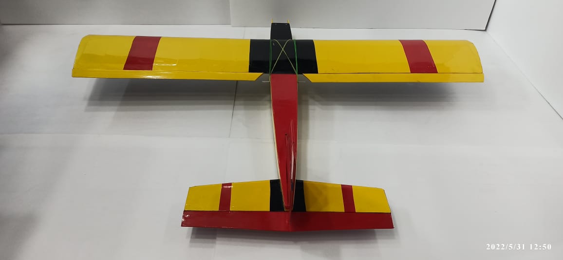 MISS WORLD 2 RC PLANE