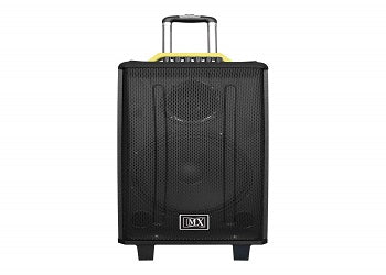 Mx12" Wooden Speaker 100W