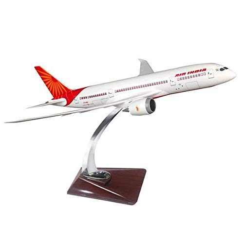 Airplane Diecast Air India B787 47Cm