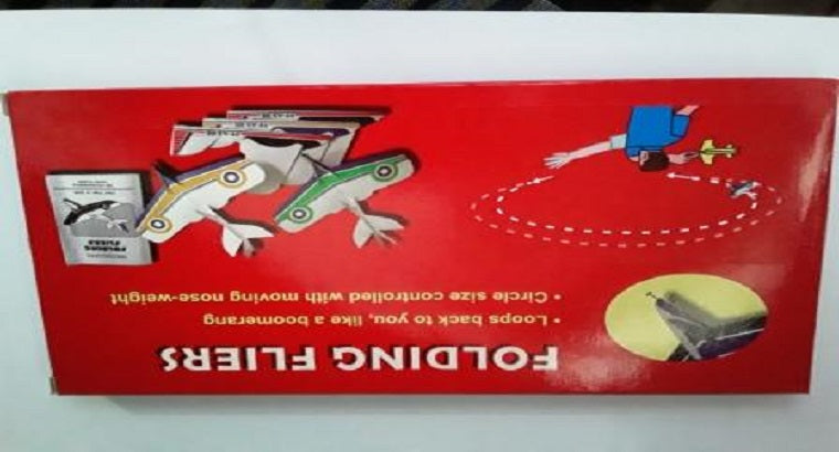 Folding Fliers(Set Of 5Paper Planes)