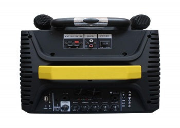 Mx12" Wooden Speaker 100W