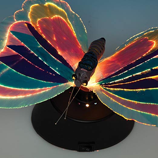 FIBER OPTIC LIGHT BUTTERFLY 7041-HH1