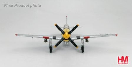 P-51D MUSTANG