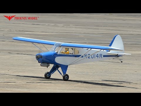 Phoenix Model Super Cub PA-18 20cc Gas/EP ARF 91" - 1:4 1/2