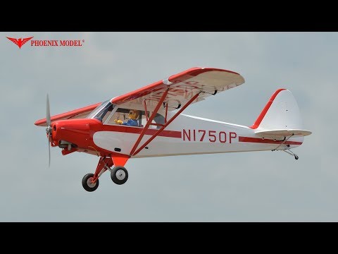 Phoenix Model Super Cub PA-18 30cc Gas/EP ARF 107" - 1:4